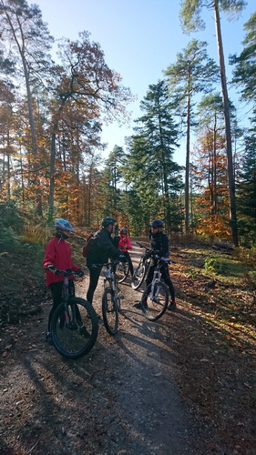 0 vtt saverne.jpg