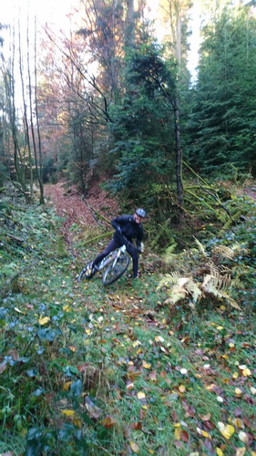 7 vtt saverne.jpg